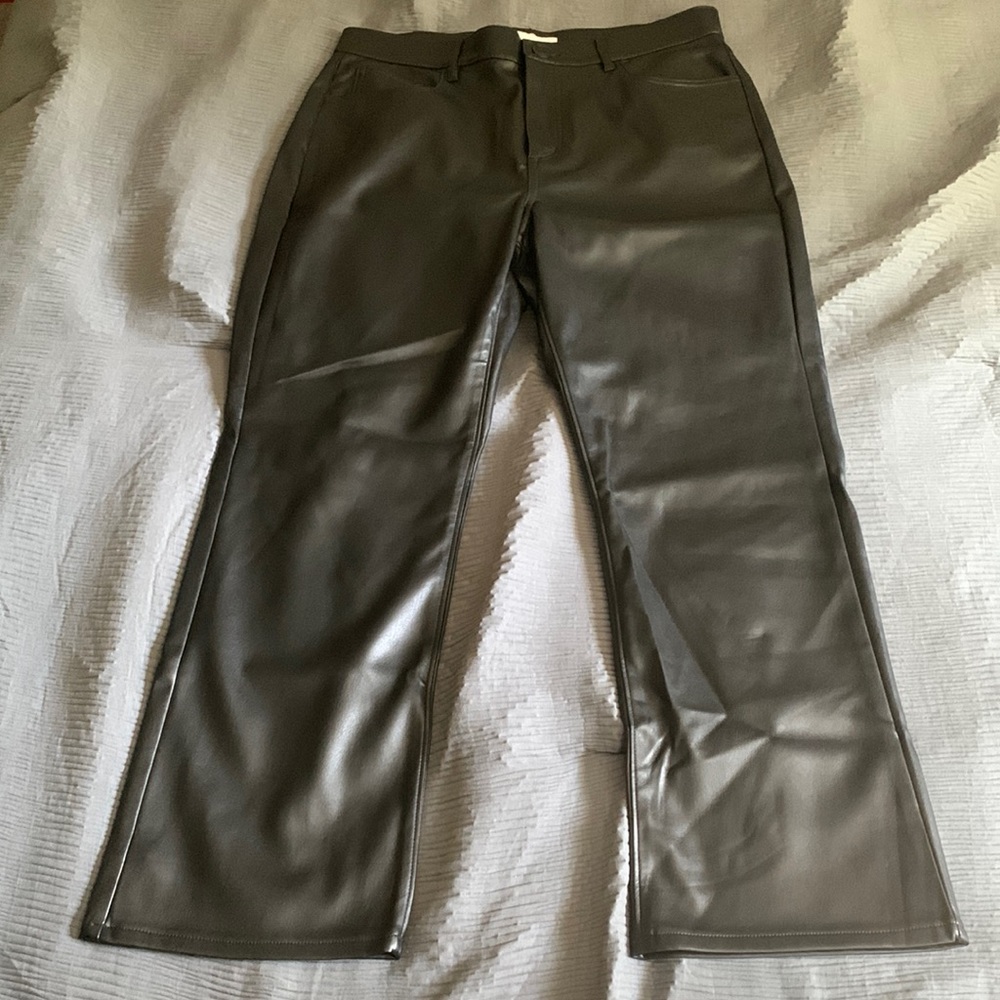 LOFT faux Leather pants Sz 29/8 Never Worn No tags